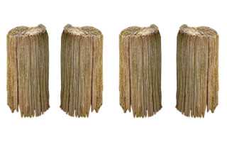 沧州小升初招生范围确定 快来看看学区房划片吧