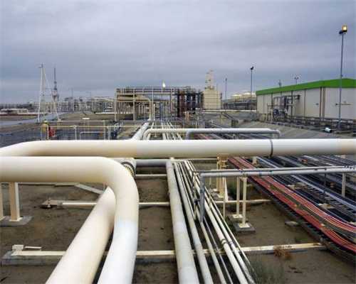 扎根社区十三年，她成为了豫园地区的一张服务名片