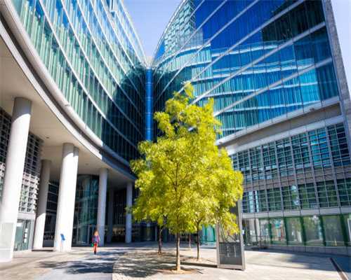 自建小墅，前厅后院，总230老椰#豪宅公社