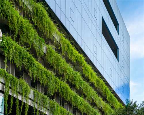 双钥匙户型在小众房地产市场逐渐蔓延生长，市场的潜力有多大？