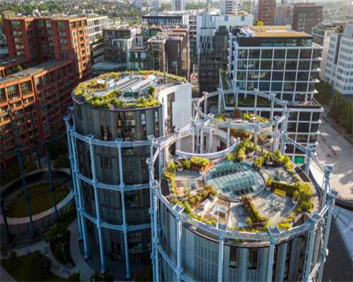 “职场蠢人”，是个什么人设？