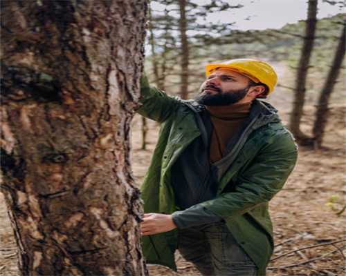 宝云街道脱贫攻坚这么干：分区施策，激活产业发展潜力