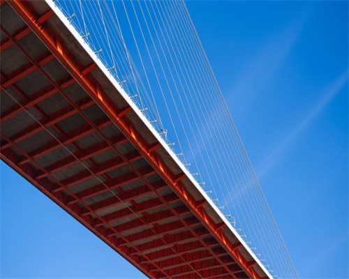 三年级语文上册第5课《铺满金色巴掌的水泥道》考点总结，全面