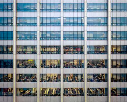 猪场猪的水泥病是怎么回事？