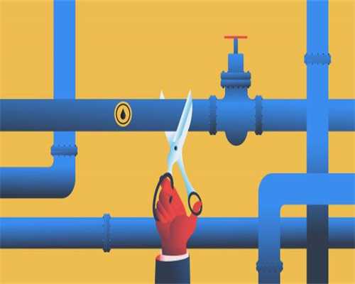 【交通】奉贤这13条公交线路拟调整，现公开征求意见→