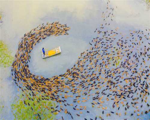 浙江龙游明清建筑群，堪称江南古建筑的代表，处处显别致