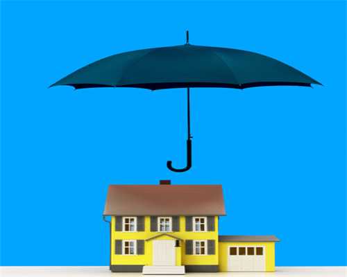 老旧小区这群“绿色梦想家”护绿12载，百棵小树长成参天大树