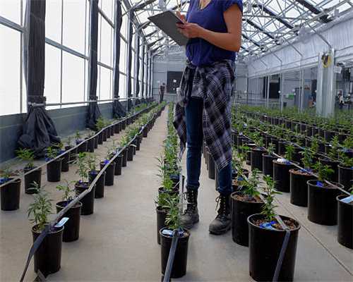 刚需加速进场 北京“老旧小”房源成交率先回暖