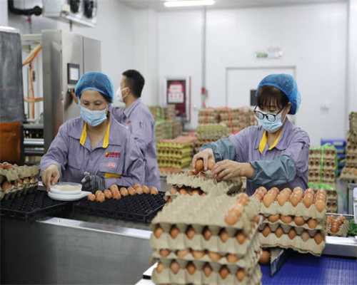 混凝土强度等级的秘密：建筑安全不可或缺的一环