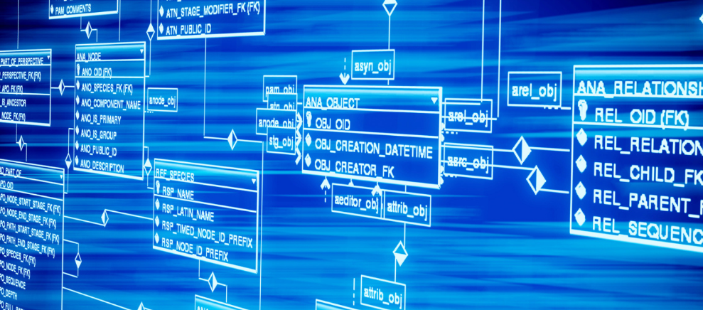 佰和佰樂2020第七批试入住体验活动圆满举办